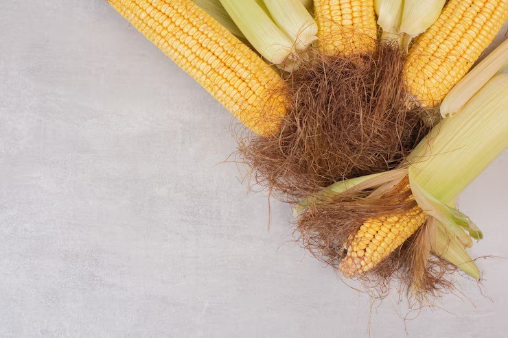 rambut jagung penurun tekanan darah, manfaat rambut jagung, cara membuat teh rambut jagung, herbal untuk hipertensi alami, air rebusan rambut jagung, obat alami tekanan darah tinggi, rambut jagung dan kolesterol, ramuan tradisional untuk darah tinggi, ram
